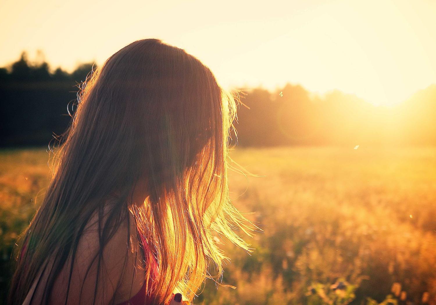 Golden hour over a field